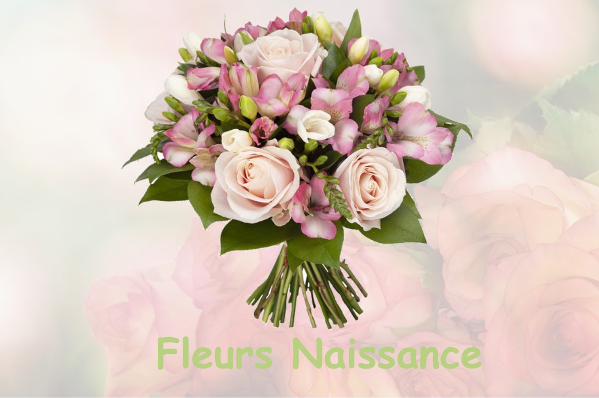 fleurs naissance BEAUTEVILLE