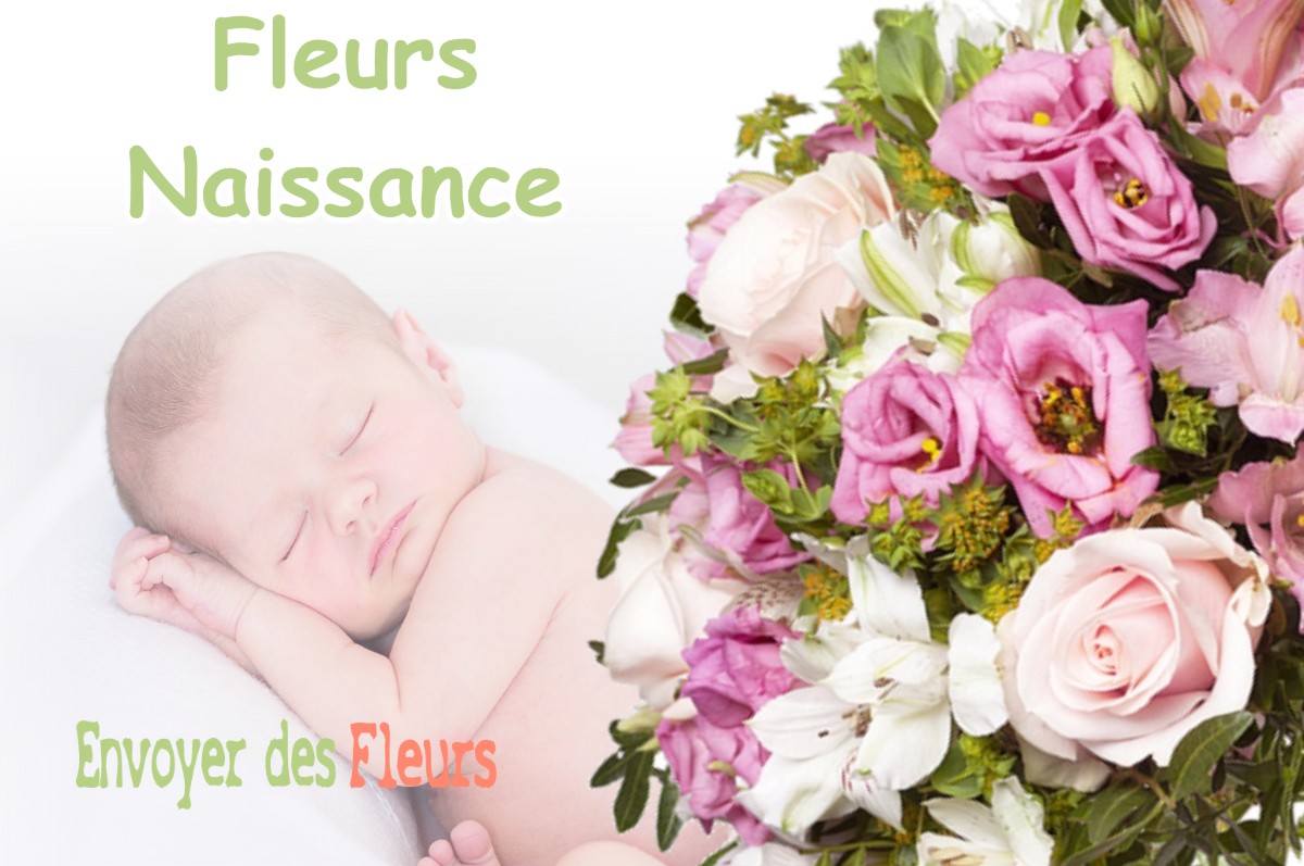 lIVRAISON FLEURS NAISSANCE à BEAUTEVILLE